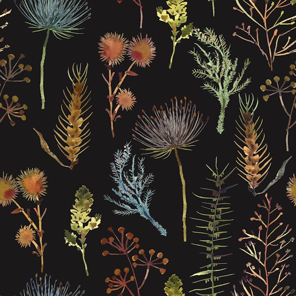 Rin The Wilderness Black