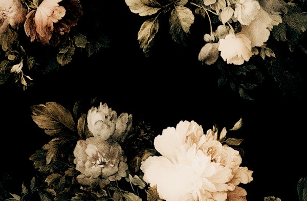 Floral Dark Night Harmony