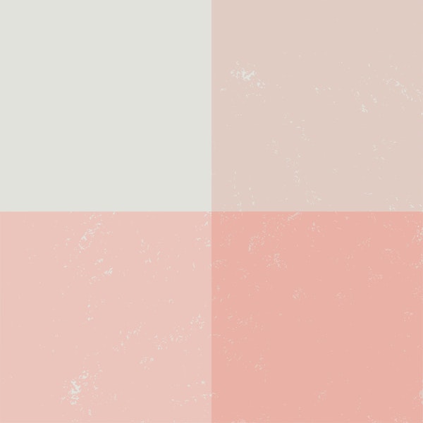 Vintage Blush Gingham