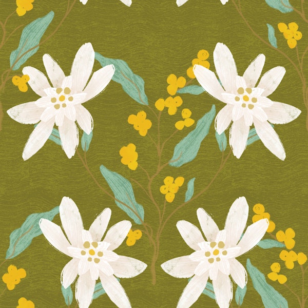 Edelweiss Meadow Bliss