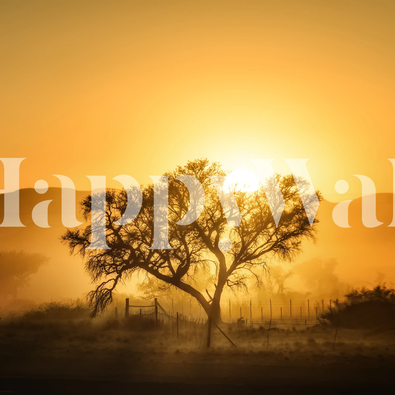 Golden Sunrise tapetdesign i et rom