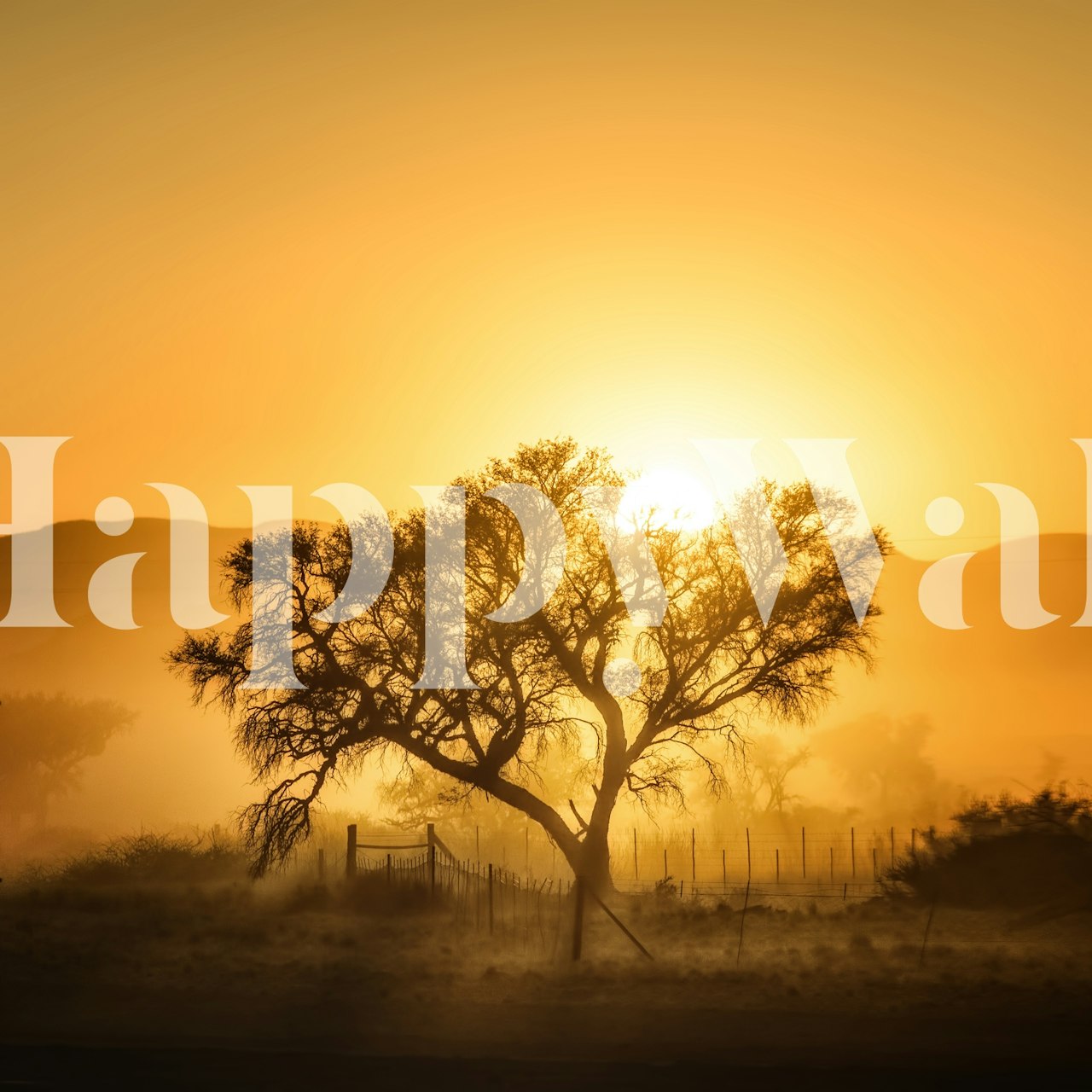 Design della carta da parati Golden Sunrise in una stanza