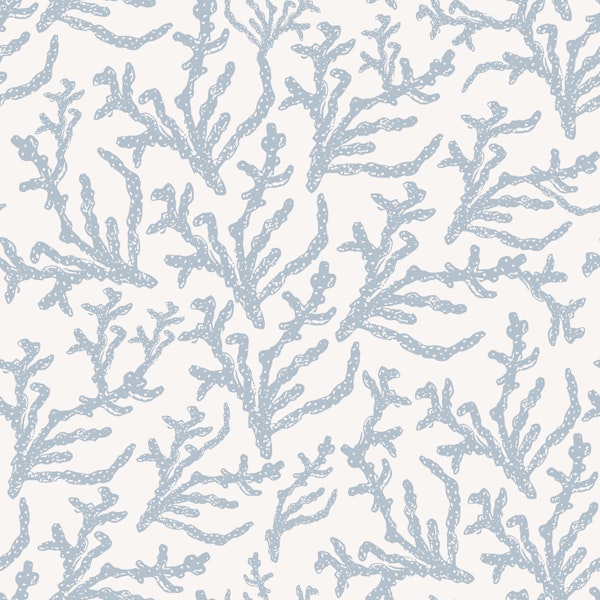 Blue coral reef on off white