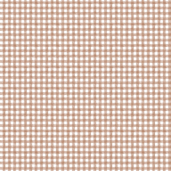 Terracotta  Watercolor Gingham