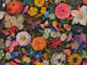 Buttercups ranunculus Lush Florals  Black