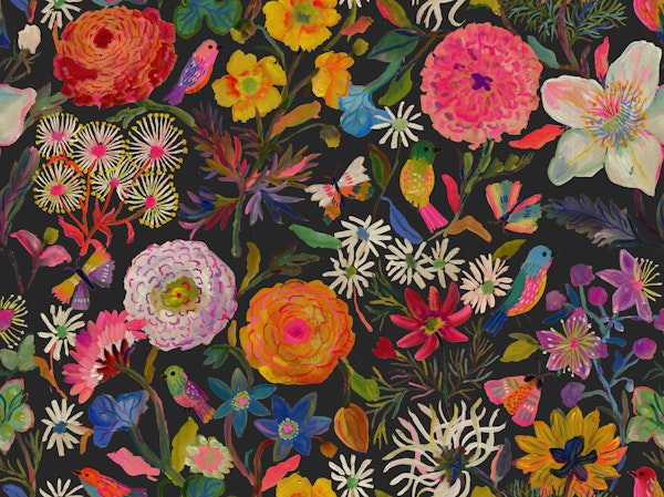 Buttercups ranunculus Lush Florals  Black