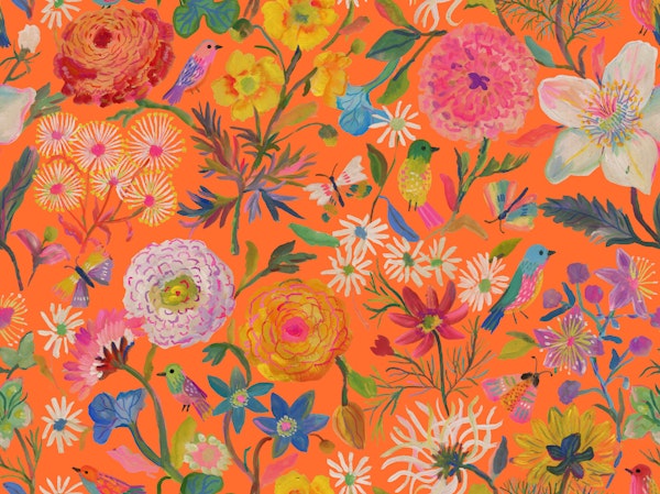 Buttercups ranunculus Lush Florals Orange