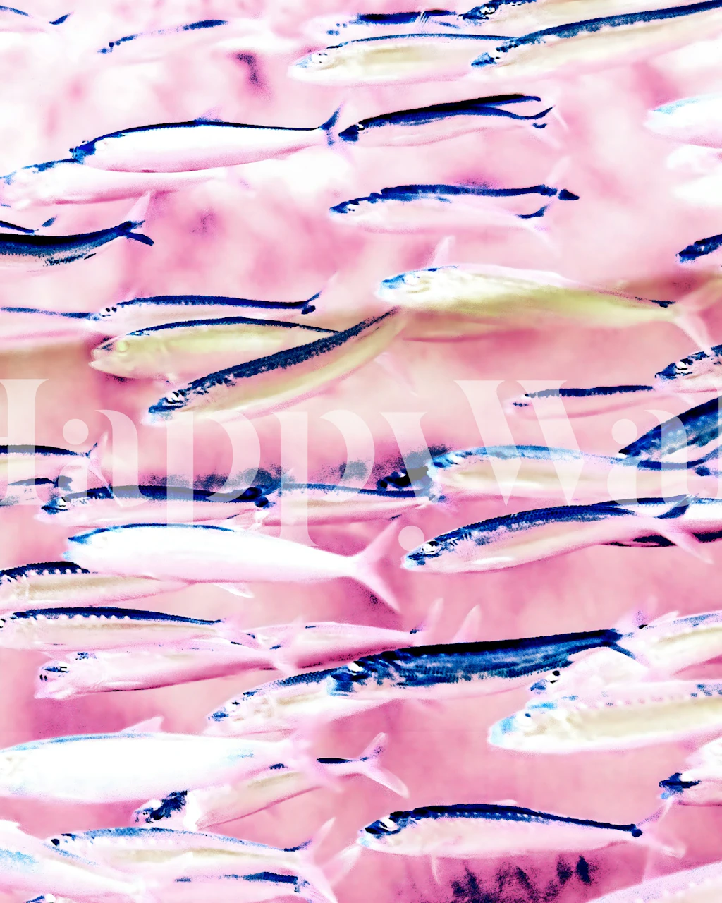 Abstract fish patterns in pink and blue hues wallpaper