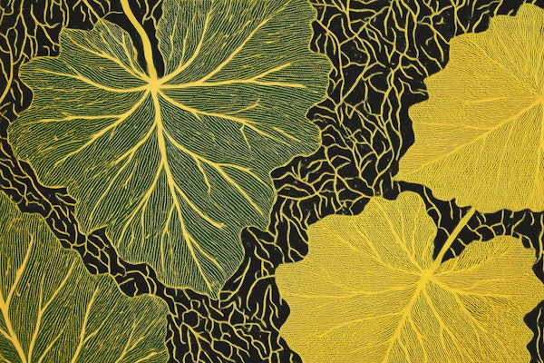 Yellow Ginkgo Leaf