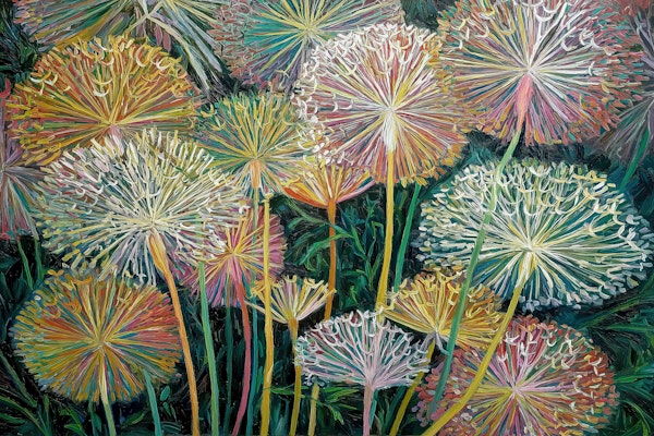 Vibrant Dandelion Fireworks