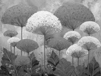 Monochrome Bloom Aesthetics papel de parede