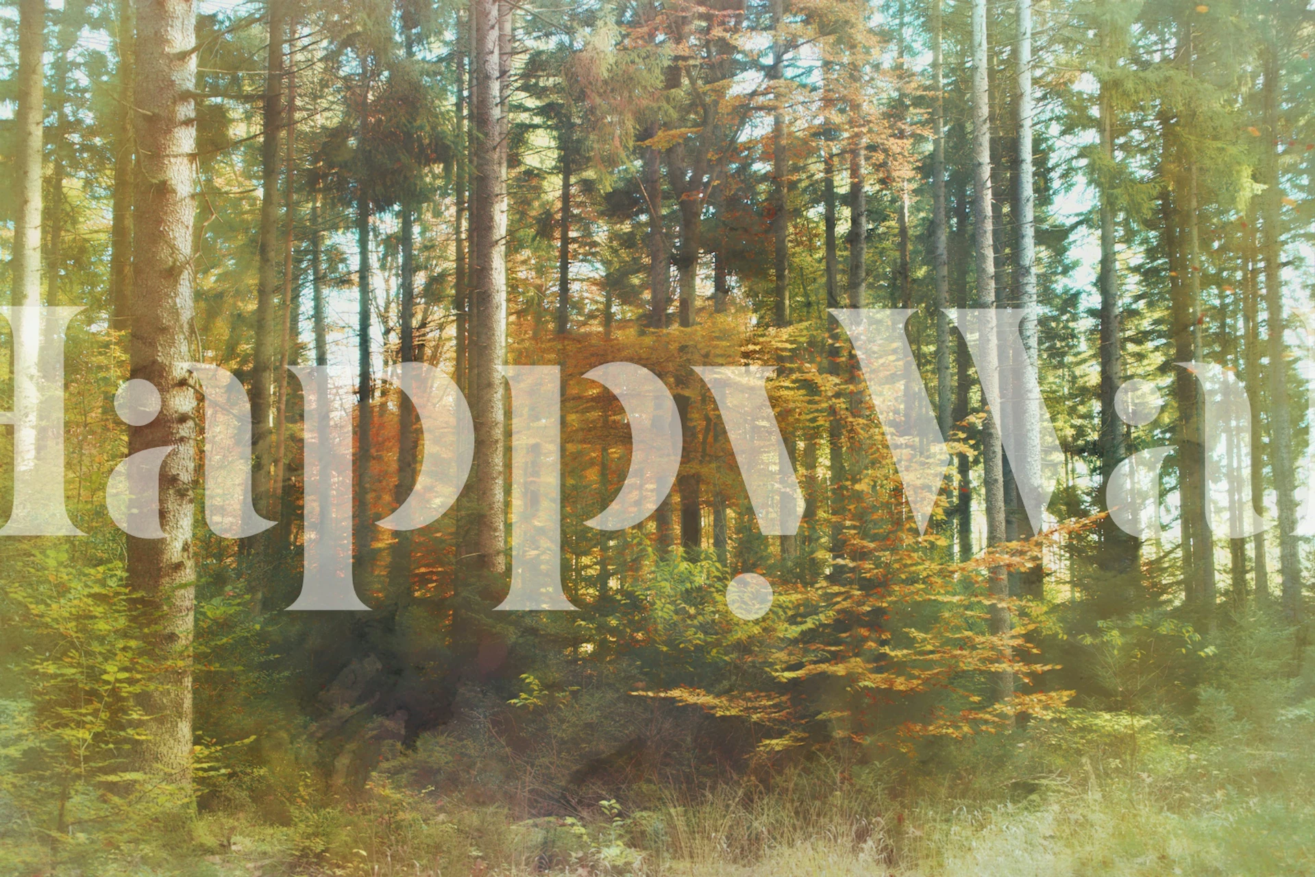 Enchanted Forest wallpaper en una habitación