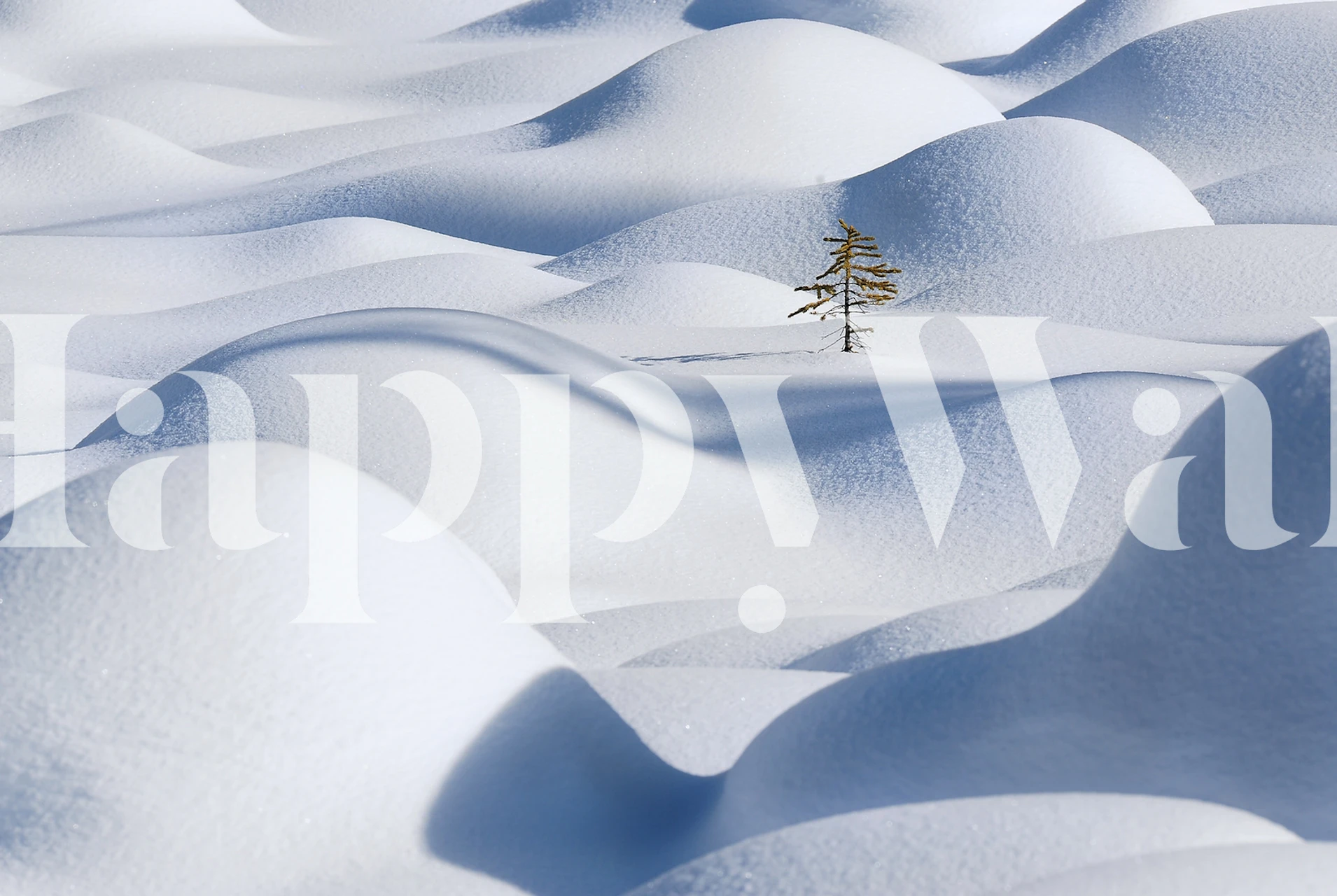 Papier peint Standing in the Waves dans une pièce