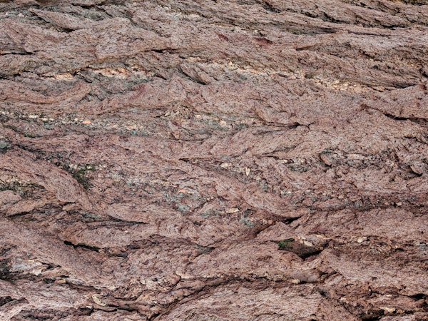 Rustic Bark Texture