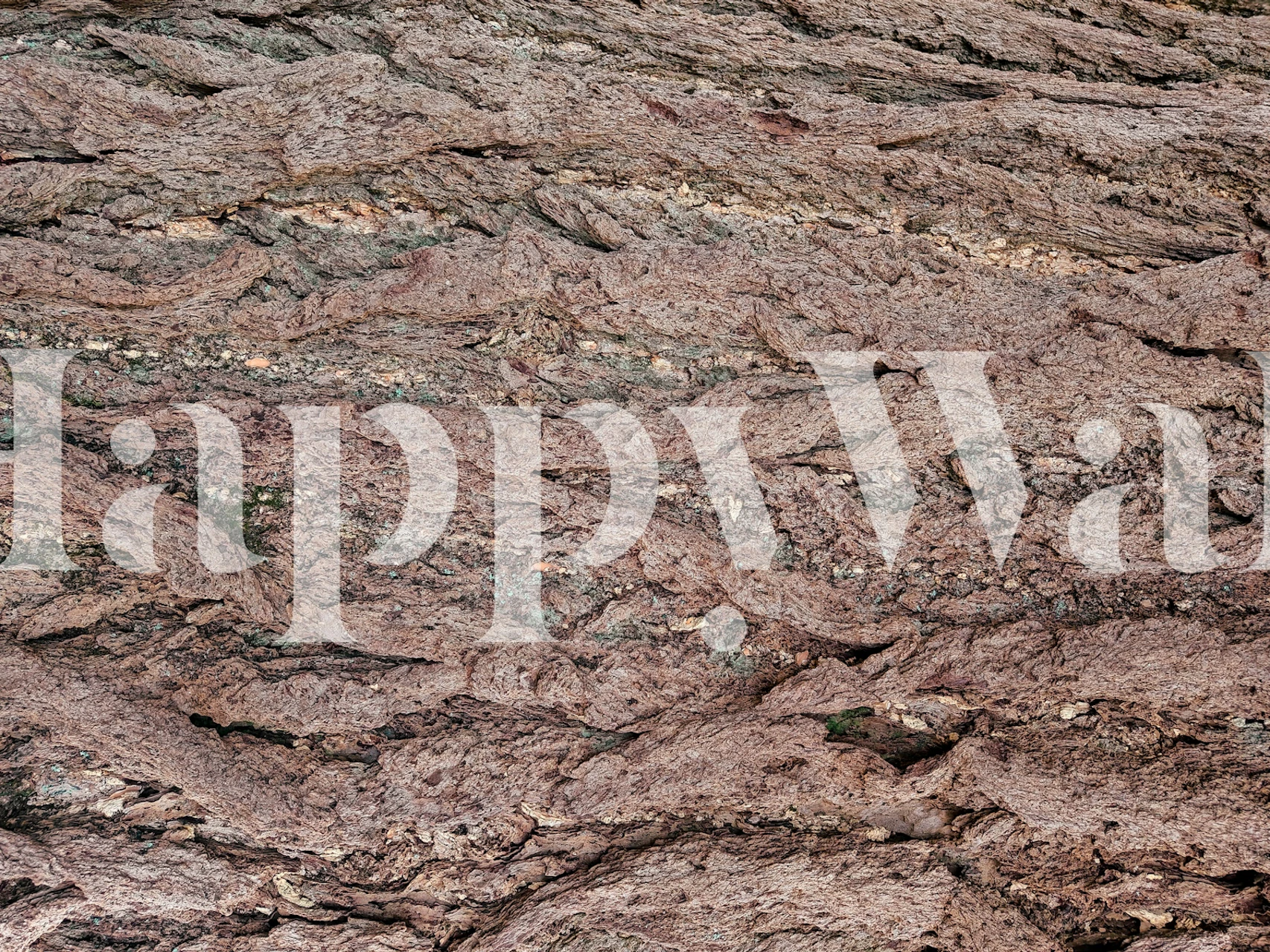 Rustic bark texture in earthy tones wallpaper