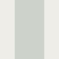 Light Grey Green Stripe tapete