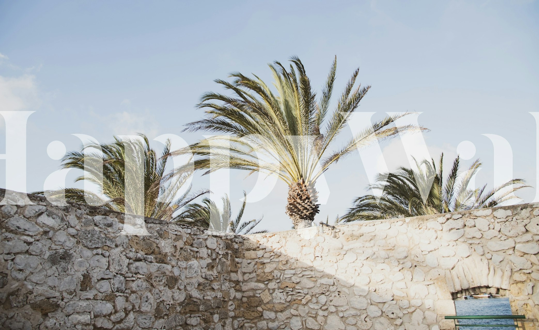 Palm Oasis View-behang in een serene omgeving