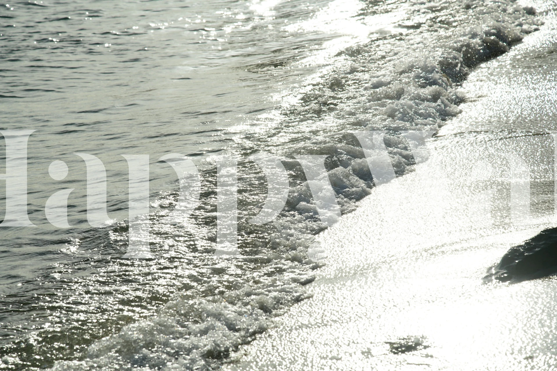 Shimmering Caribbean Ocean wallpaper in a room