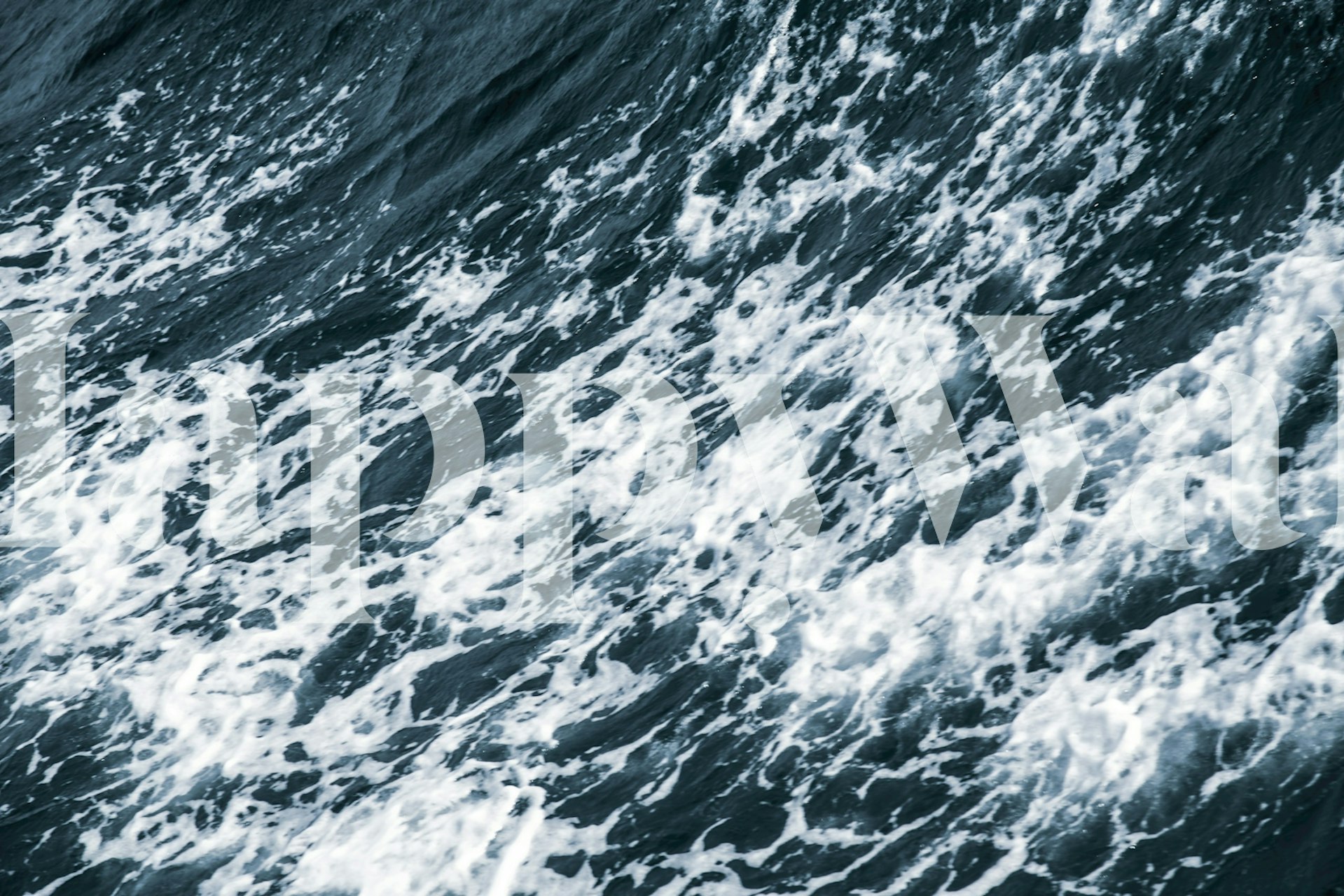 Deep Caribbean Sea Vibes wallpaper in a room