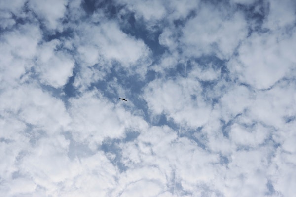 Cloud Dancer Blue Sky with Bird in Flight