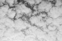 Cloudy Sky in Black and White with Bird tapeta