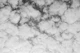 Cloudy Sky in Black and White with Bird
