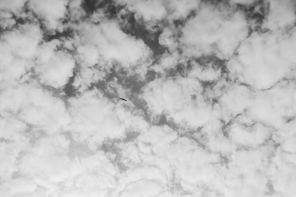 Cloudy Sky in Black and White with Bird