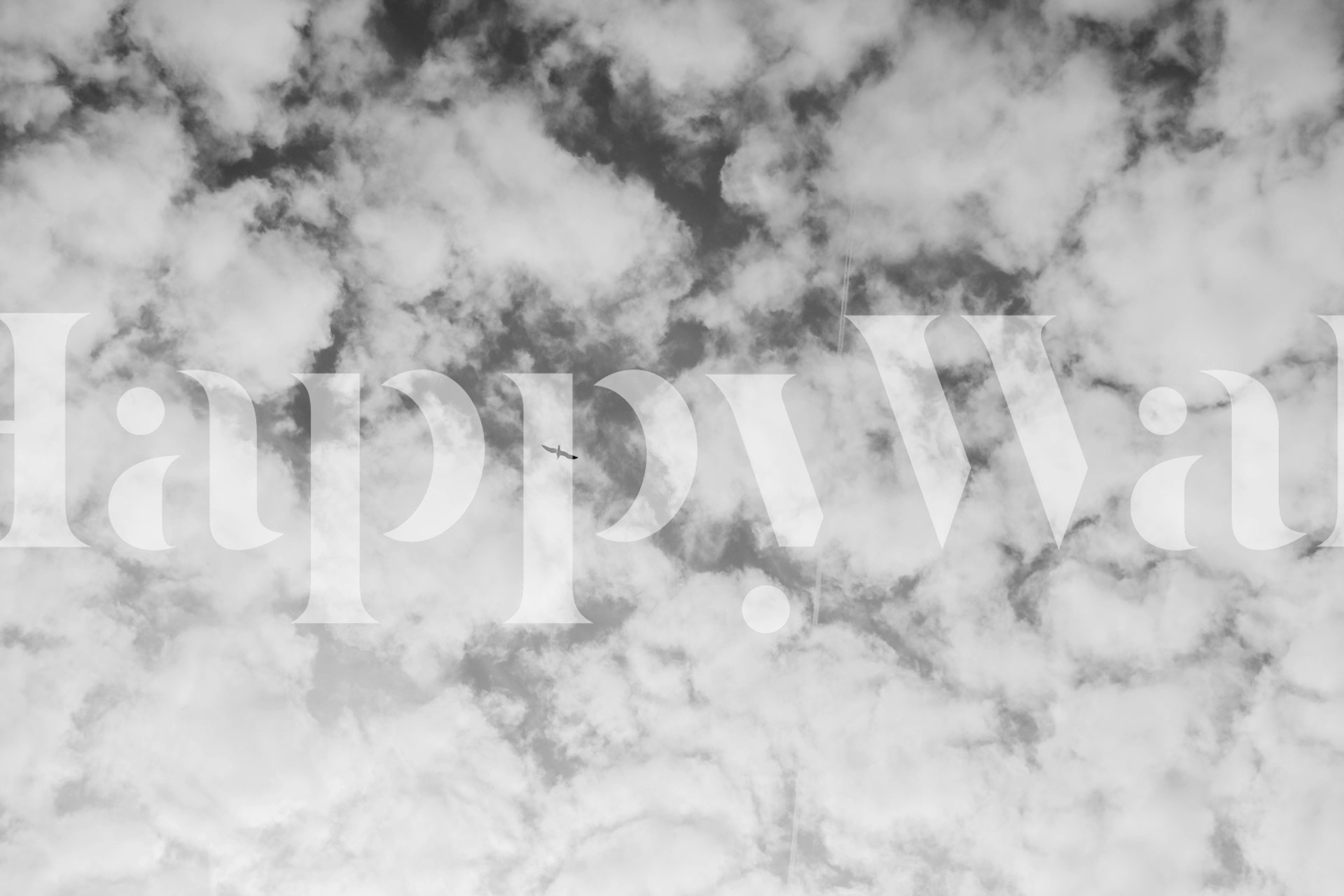 Black and white cloudy sky wallpaper with bird