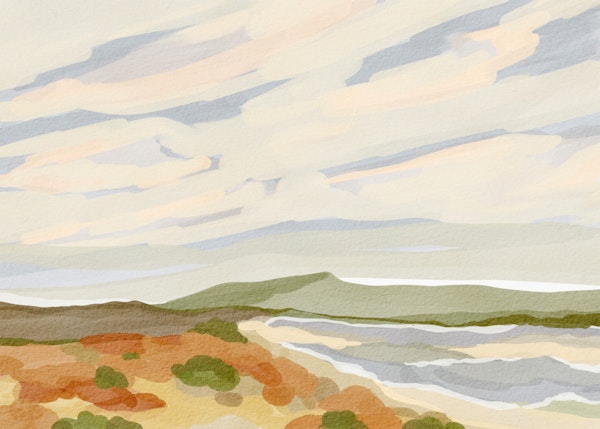 Soothing Shoreline Scene