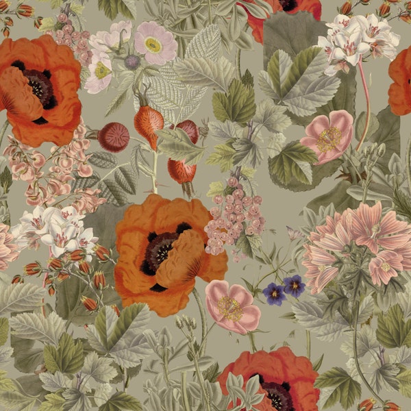 Poppy Meadow Delight