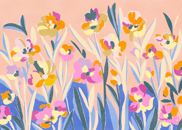 Colorful Blossoms Field