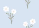 Delicate Blue Floral
