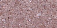 Terrazzo Rose Bliss wallpaper