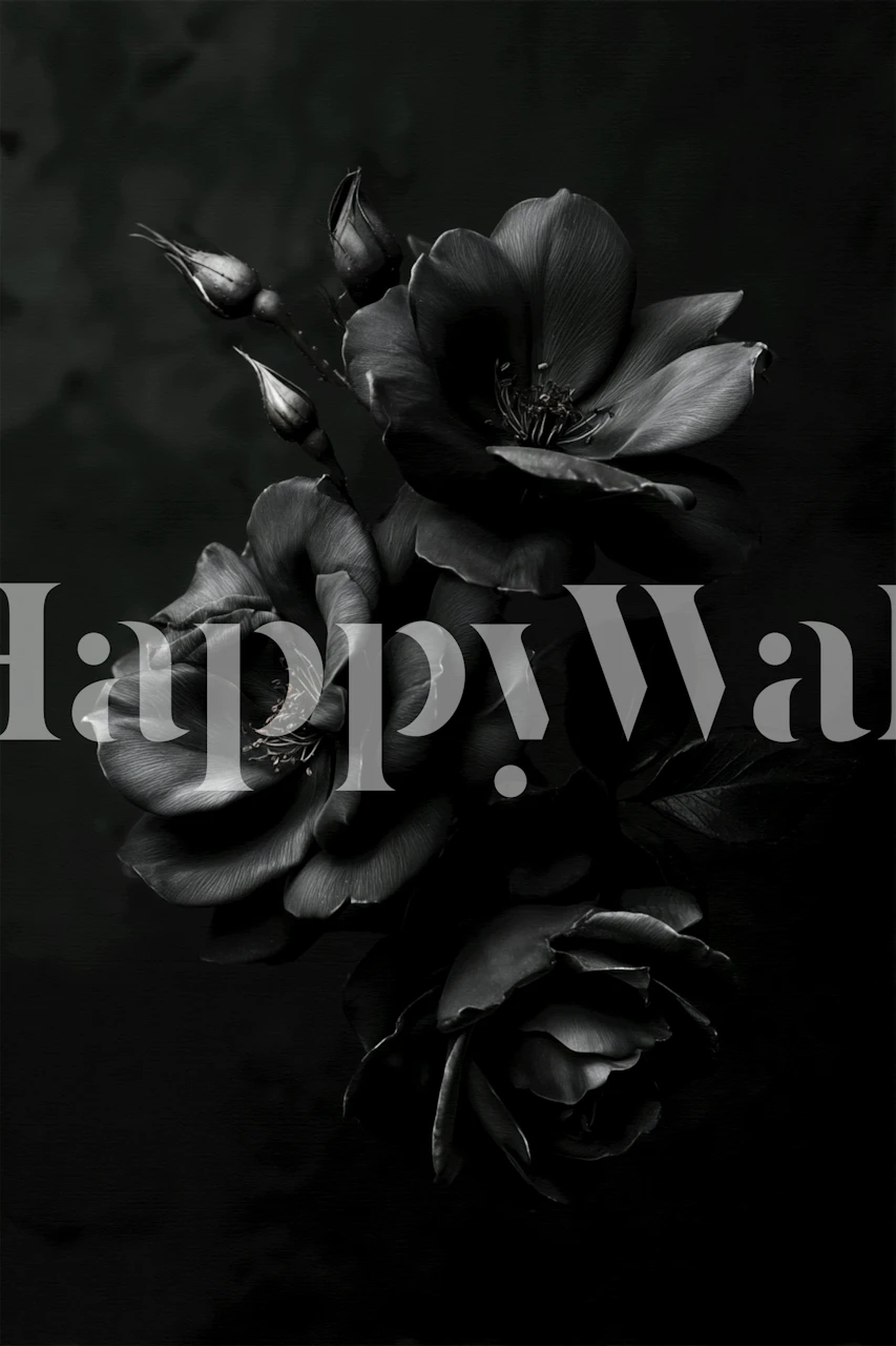 Black roses on dark background wallpaper