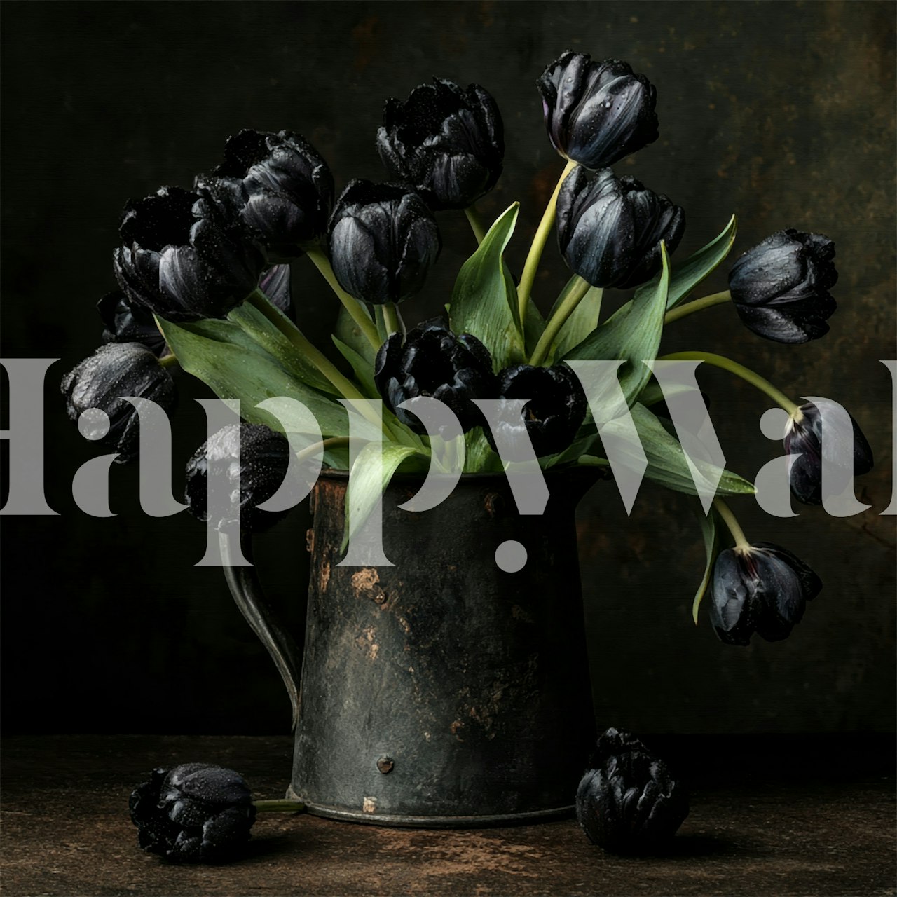 Pozadina crne tulipane u rustikalnom okruženju