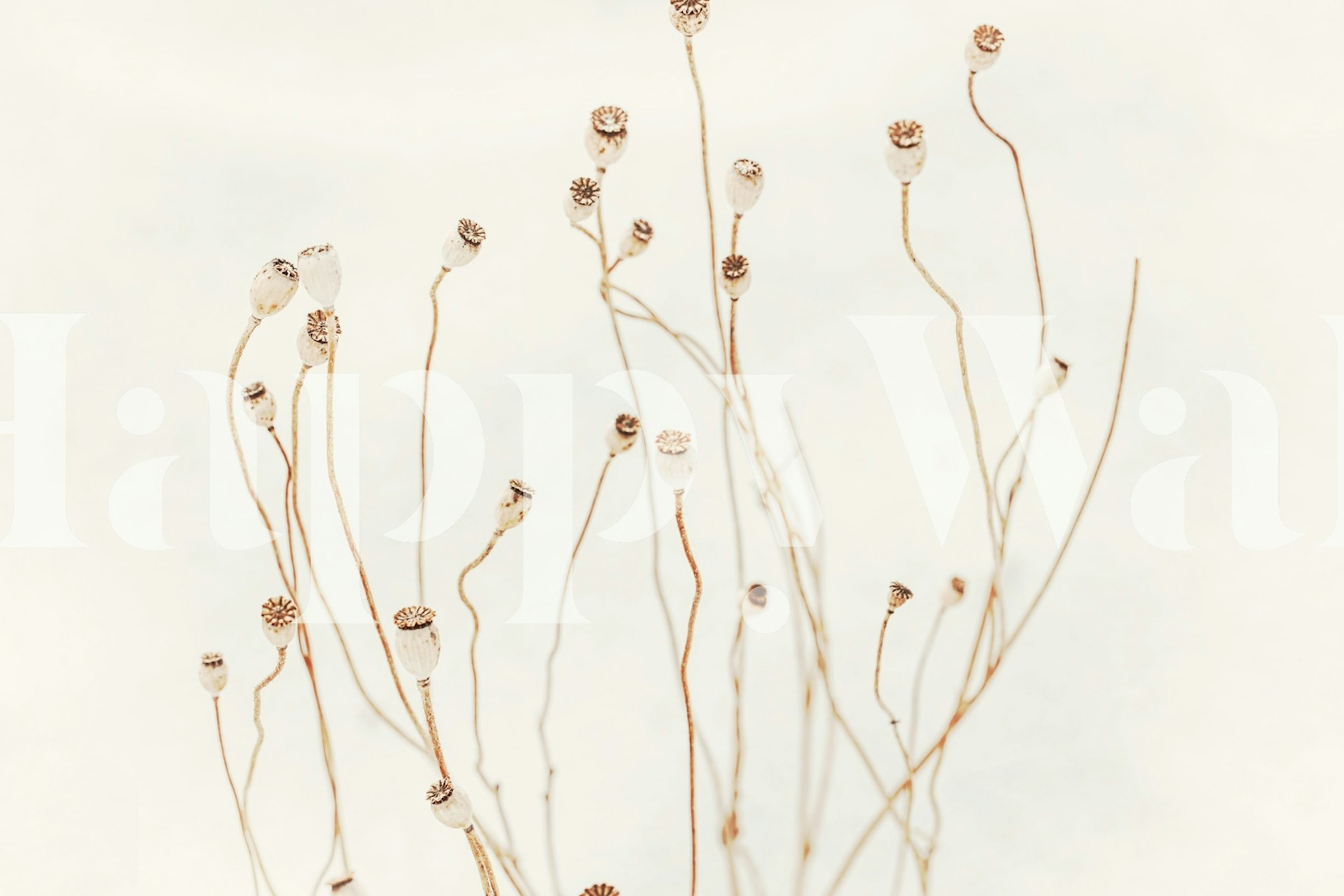 Japandi White Minimalist Flora wallpaper in a room