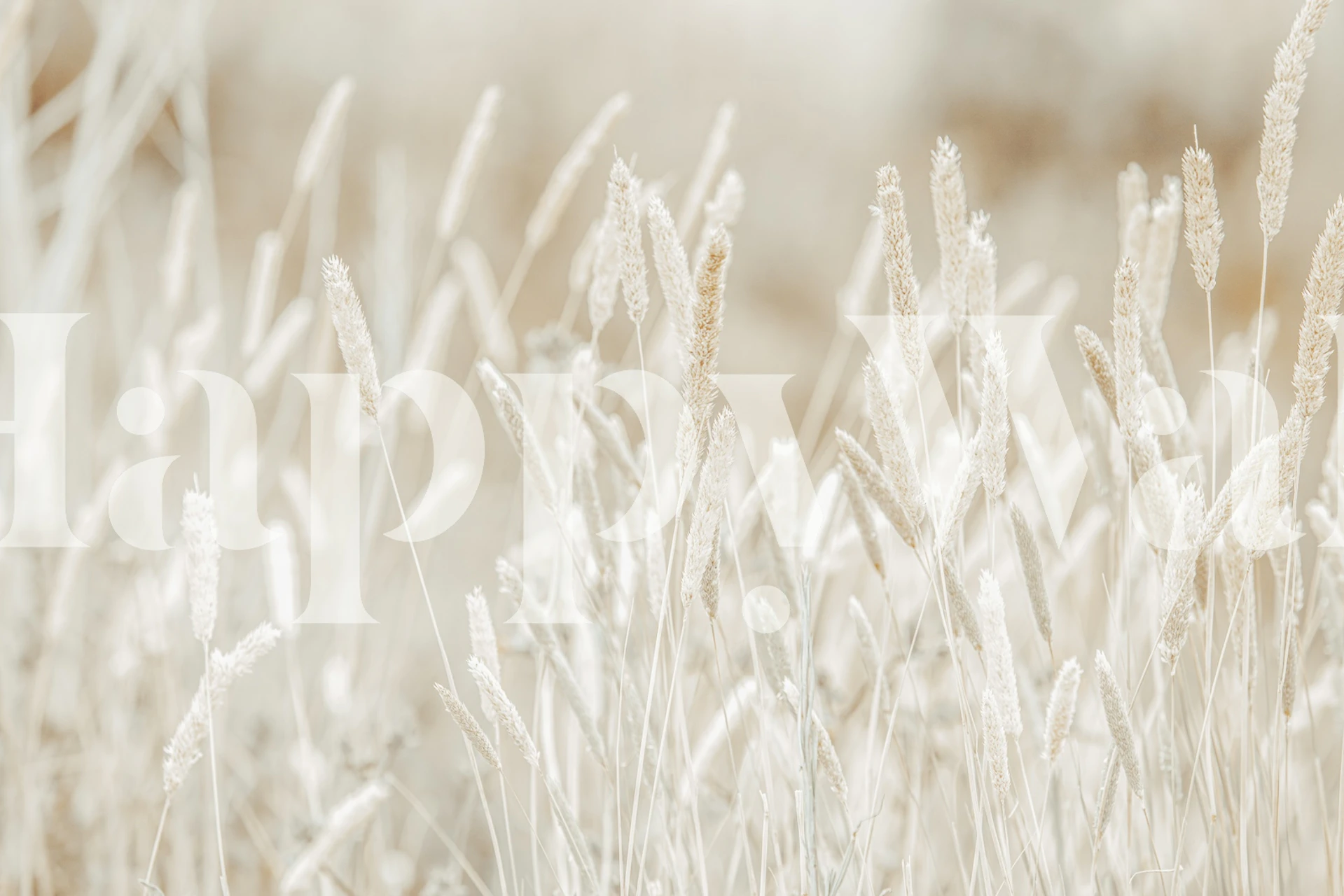 Wild Grass White Beige wallpaper in a room