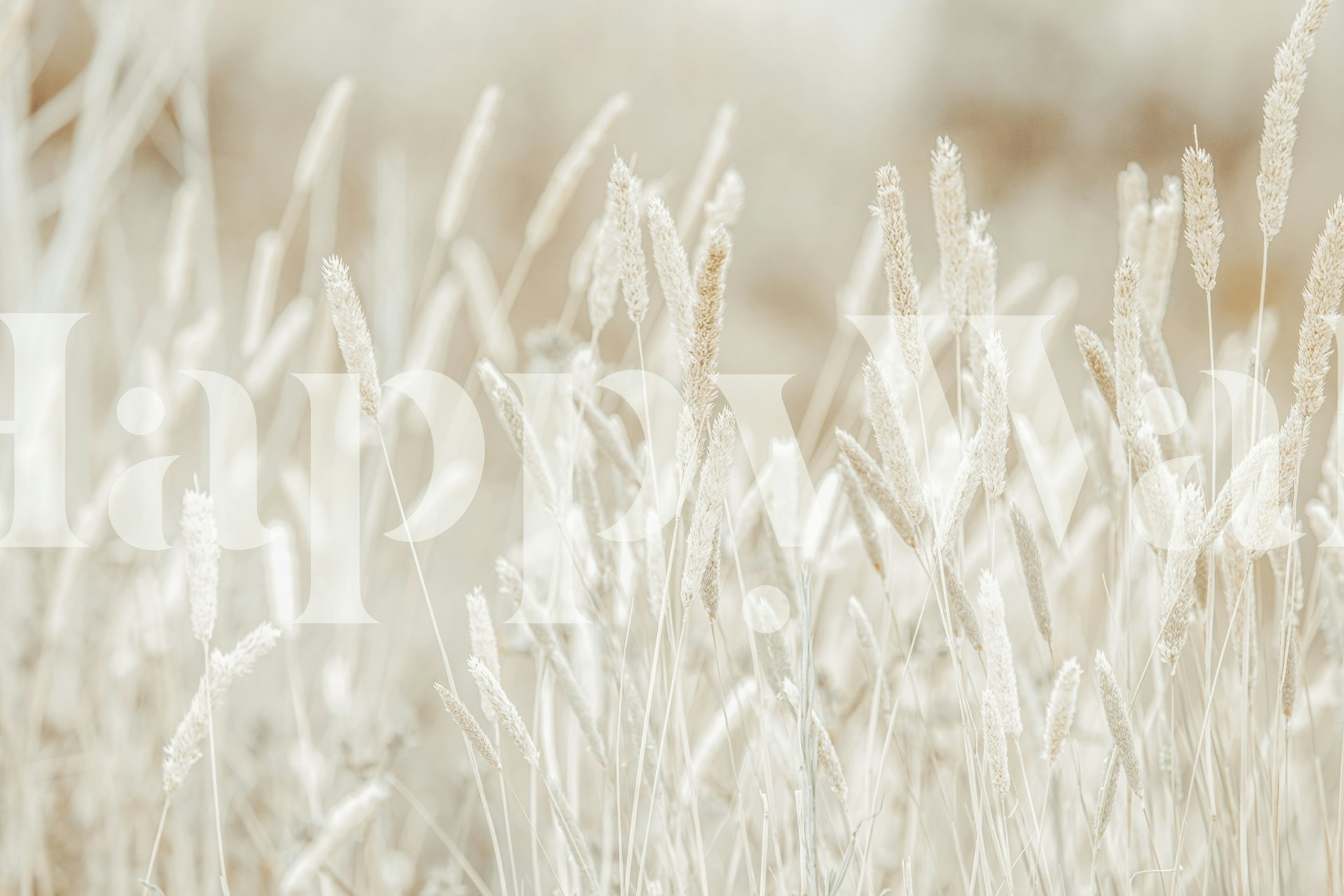 Wild Grass White Beige tapetti huoneessa