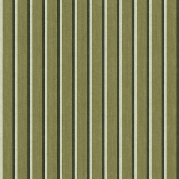 Tailored stripe - Olive Green