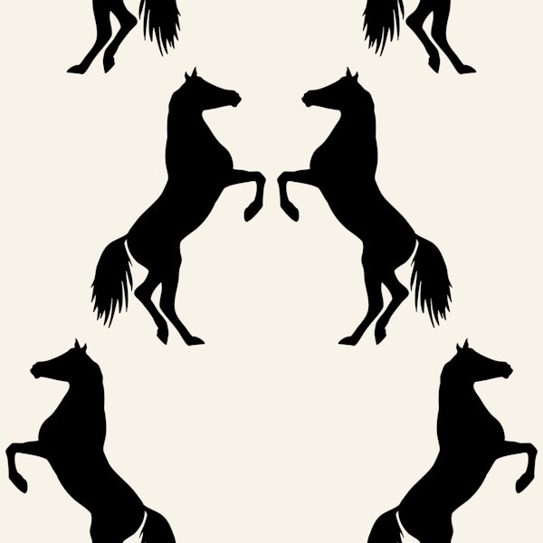equestrian horses black and off white bold