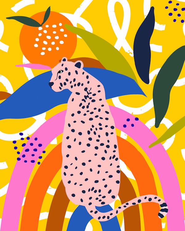 Leopard Somewhere Over the Rainbow