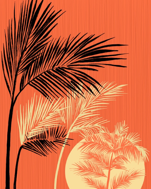 Palms at Sunset