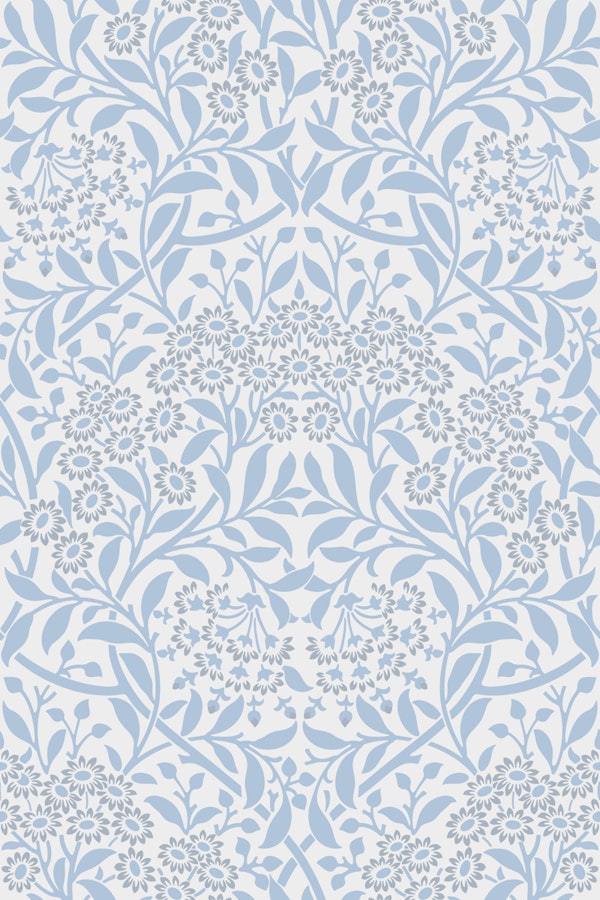 William Morris Michaelmas Daisy 38