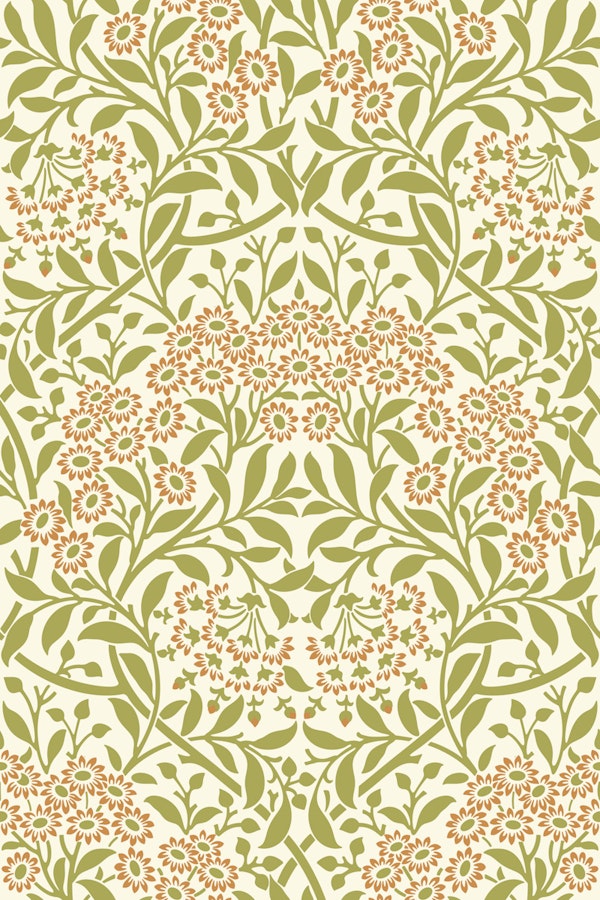 William Morris Michaelmas Daisy 9