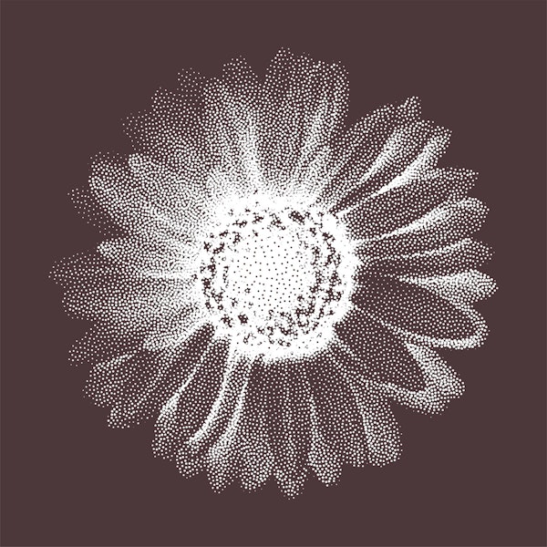 Classic Flower Design