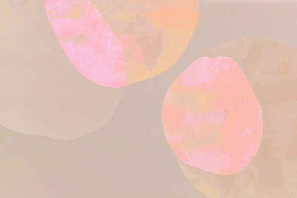 Organic Color Fields Neon Pink Japandi