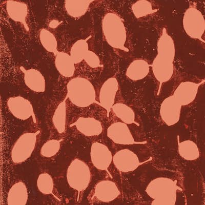 Τοιχογραφία