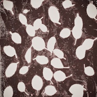 leaves texture 2 ταπετσαρία