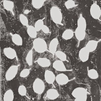 leaves texture 3 ταπετσαρία