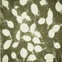 leaves texture 4 tapet